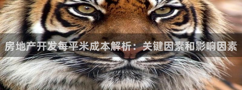 万向娱乐平台提现多久到账