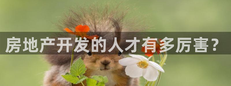 万向娱乐平台提现多久到账