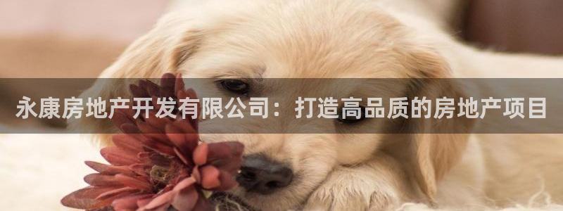 万向娱乐公司官网首页