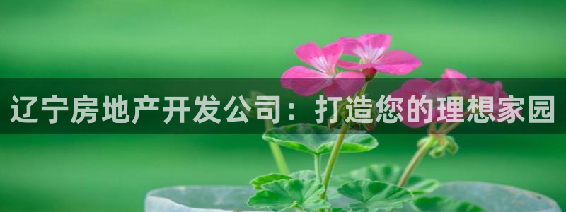 万向娱乐下载
