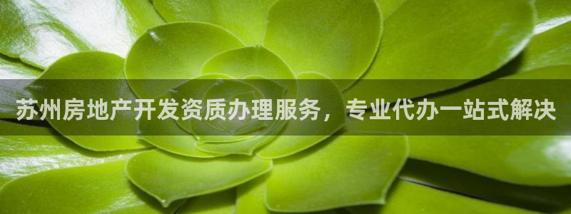万向娱乐网址是什么