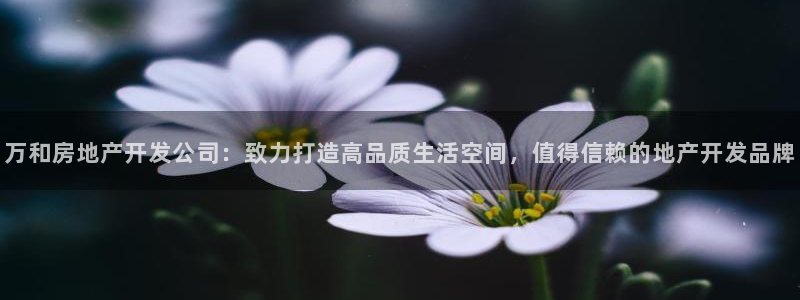 万向娱乐app下载