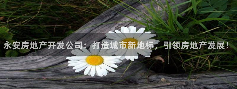 万向娱乐注册资金多少