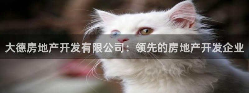 万向娱乐平台代理多少钱