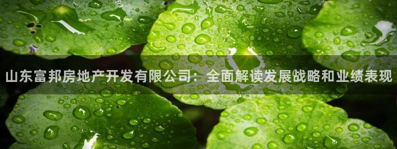 万向娱乐平台代理怎么做