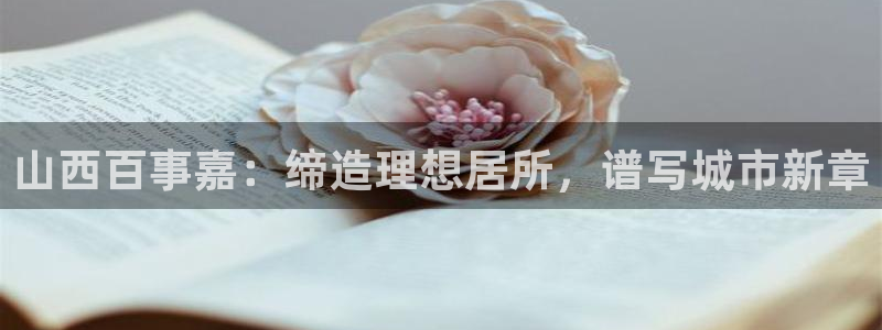 万向娱乐是野鸡台吗