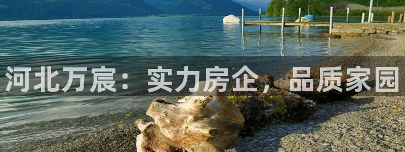 万向娱乐招商