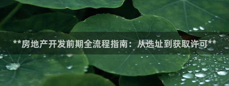 万向娱乐代理好看视频是真的吗