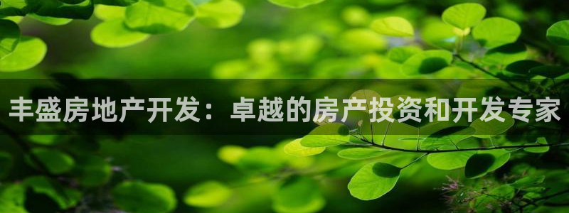 万向娱乐平台代理多少钱一个月