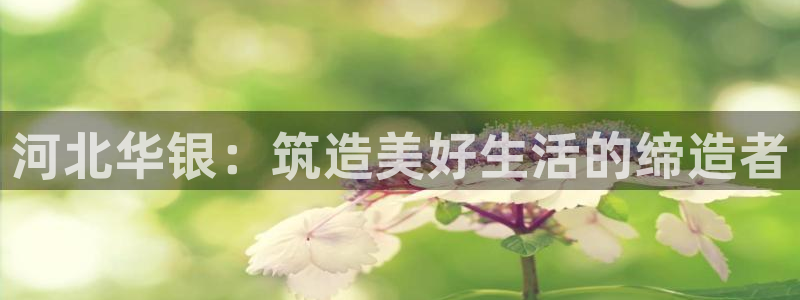 万向娱乐平台代理多少钱一个月