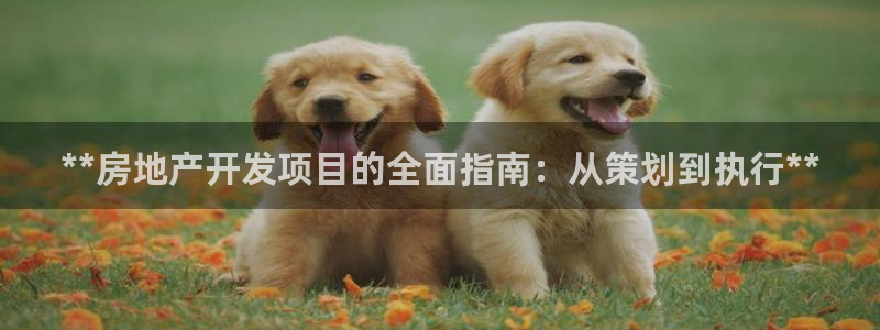 万向娱乐灯333OO