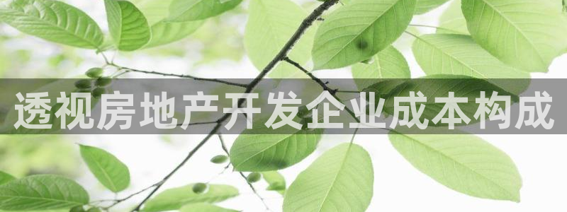 万向娱乐下载安装