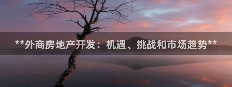 万向娱乐