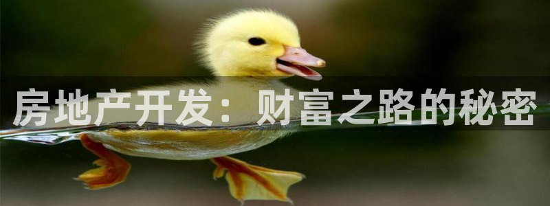 万向娱乐官网下载安装手机版