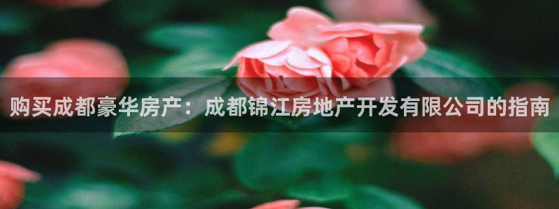 万向娱乐app下载安装