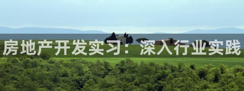 万向娱乐挂机软件