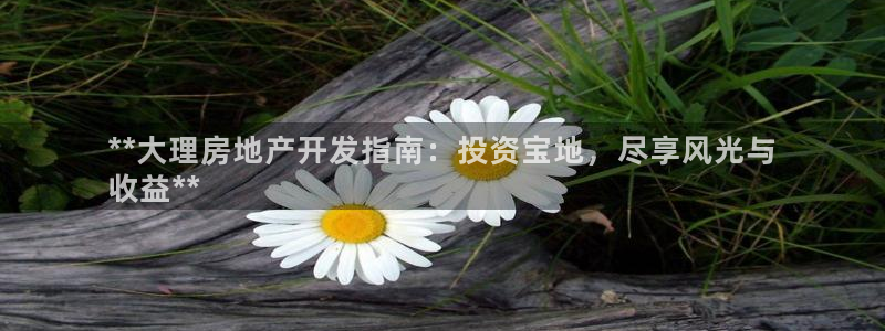 万向娱乐挂机软件