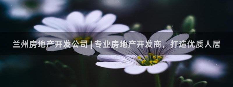 万向娱乐平台代理多少钱一个月