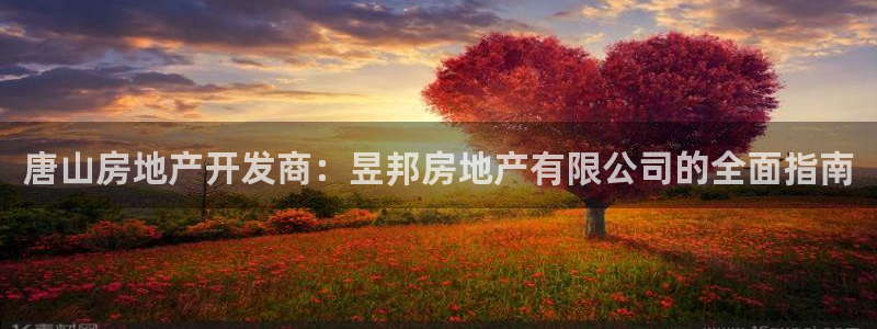 万向娱乐代理好看视频是真的吗