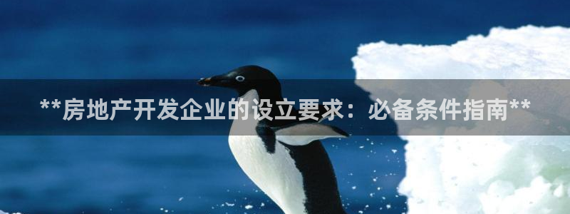 万象国际娱乐网址
