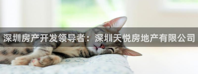万向娱乐平台代理怎么做赚钱