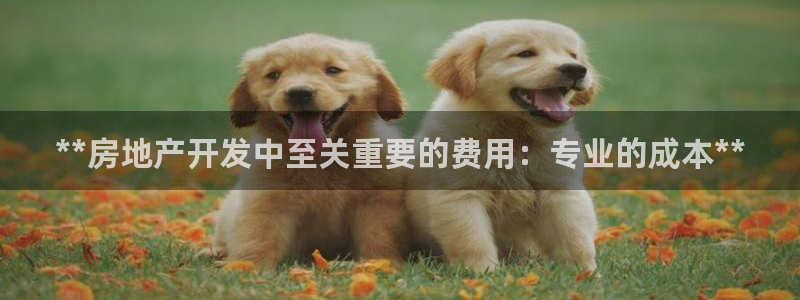 万向娱乐app下载官网