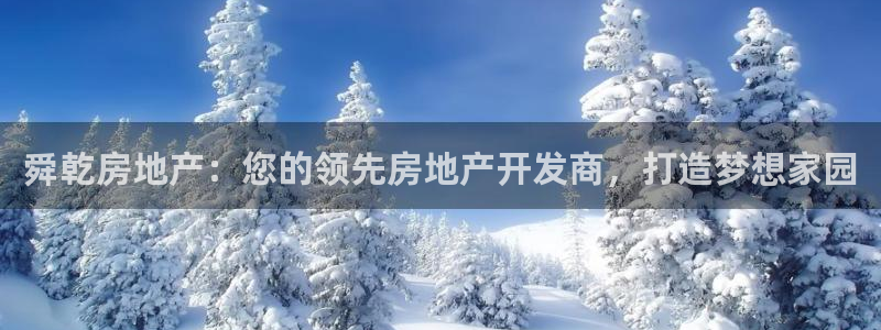 万向娱乐技术