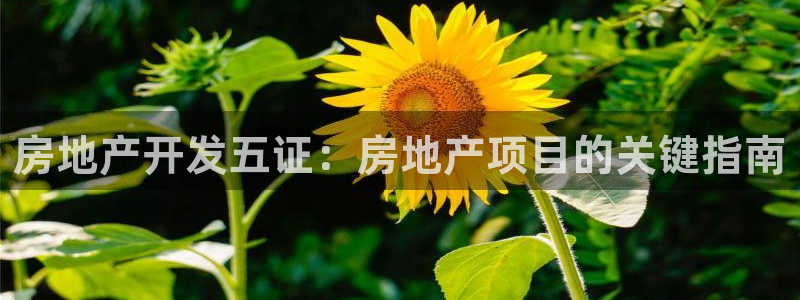 万向娱乐公司官网