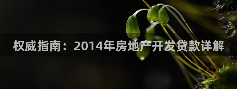 万能娱乐平台直招代理