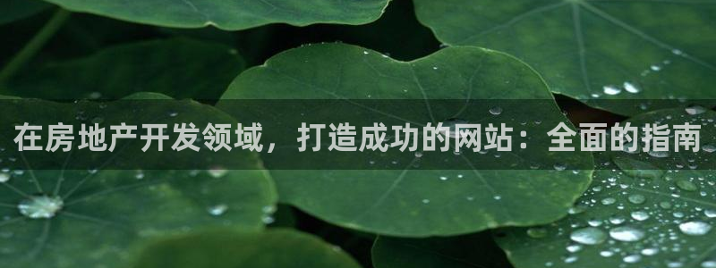 万向娱乐代理好看视频