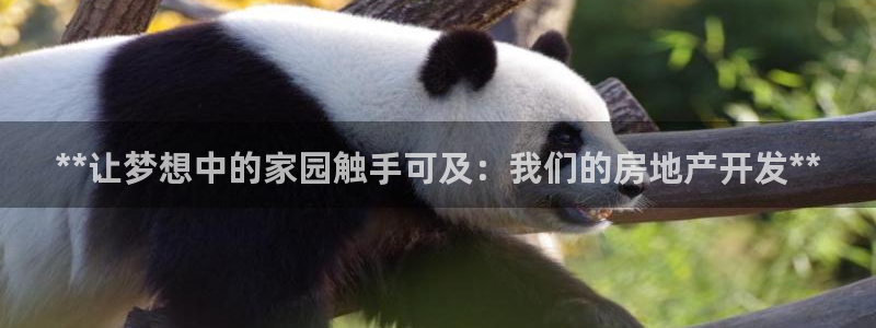 万向娱乐平台代理怎么样可靠吗