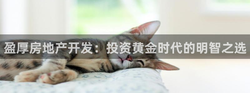 万向娱乐app下载