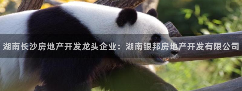 万向娱乐挂机软件
