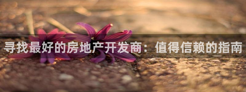 万向娱乐挂机软件