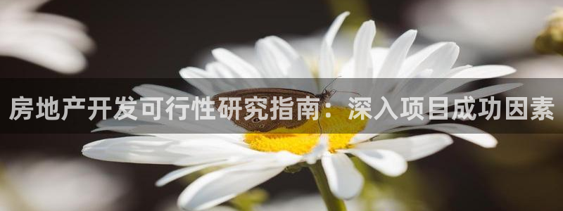万向娱乐平台怎么下载