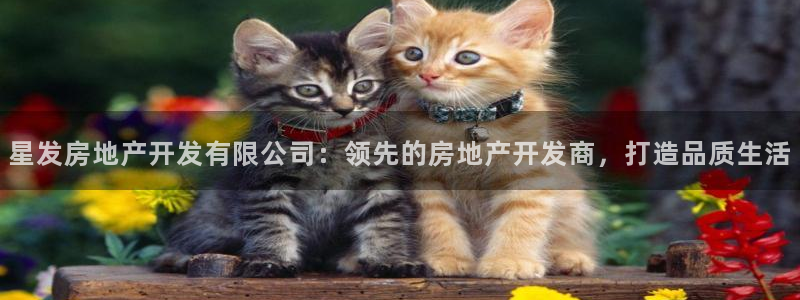 万向娱乐官网网址是多少