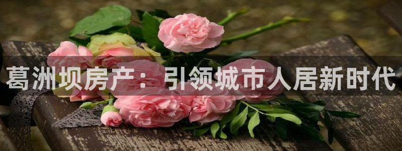 万向娱乐的494o3 主管