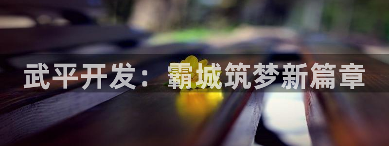 万向娱乐灯333OO