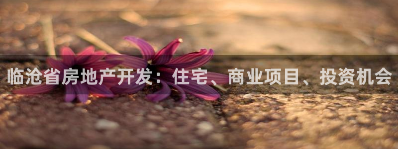 万向娱乐app