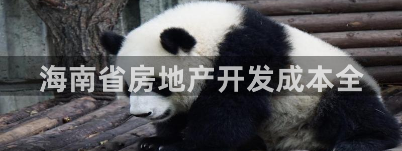 万向娱乐网址是什么