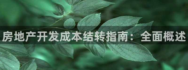 万向娱乐网址是什么