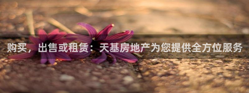 万向娱乐注册资金多少合适