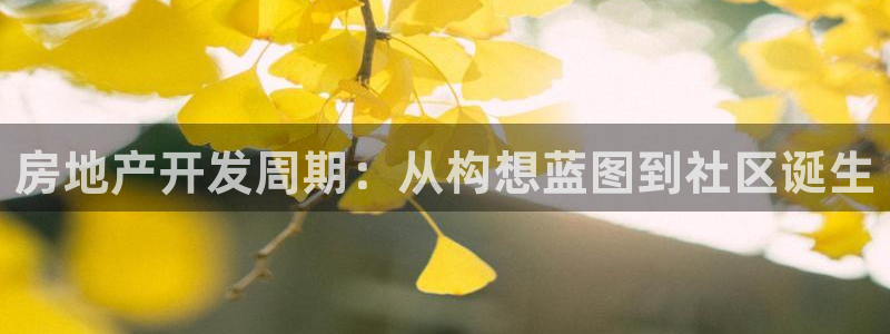 万向娱乐注册登录不上怎么回事