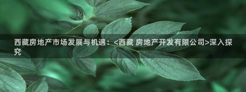 万向娱乐公司官网首页