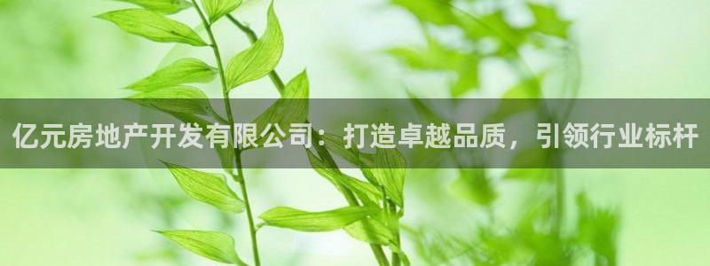 万向娱乐平台下载安装手机版
