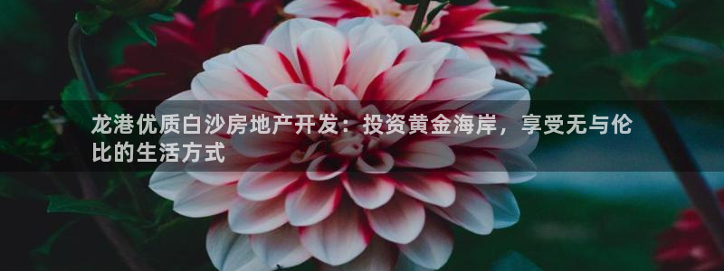 万向娱乐官网下载