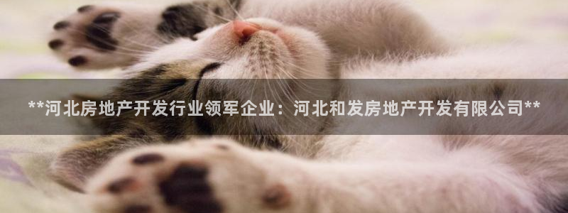 万向娱乐的联系方式是什么