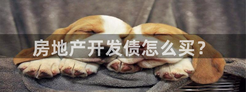万向娱乐平台代理怎么样赚钱