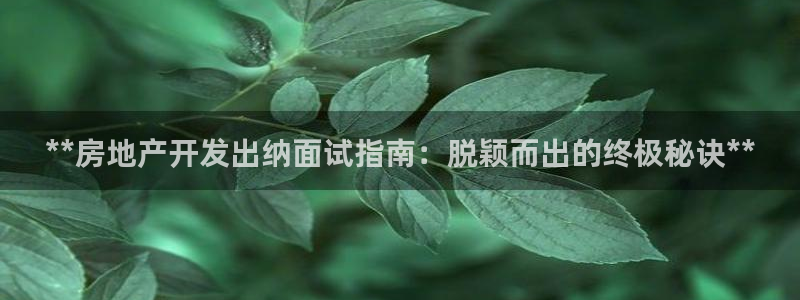 万向娱乐技术分享
