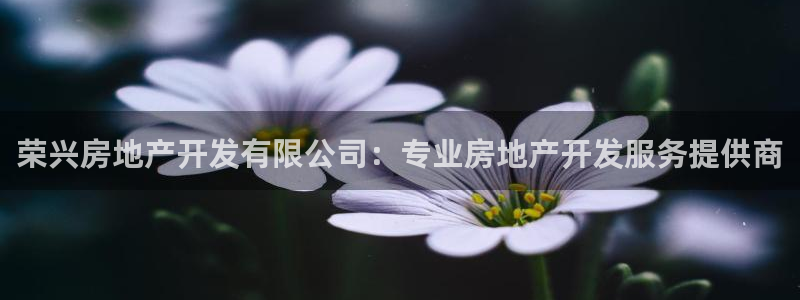 万向娱乐平台代理多少钱一年
